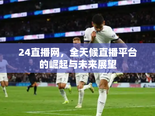 24直播网，全天候直播平台的崛起与未来展望