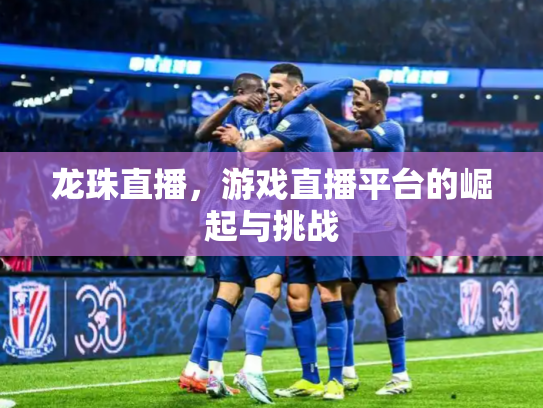 龙珠直播，游戏直播平台的崛起与挑战