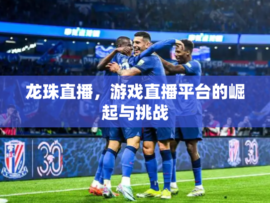 龙珠直播，游戏直播平台的崛起与挑战