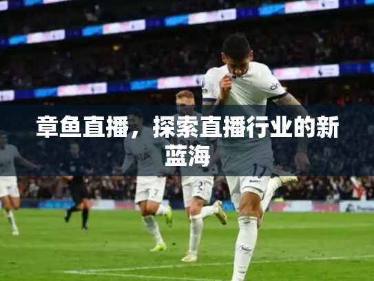 章鱼直播，探索直播行业的新蓝海