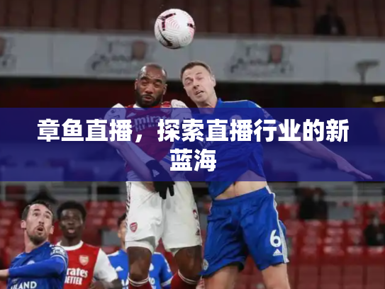 章鱼直播，探索直播行业的新蓝海