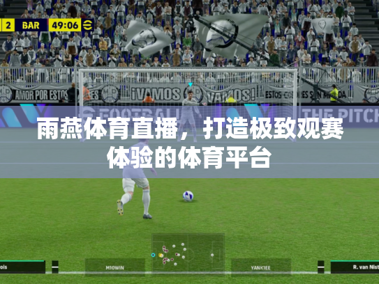 雨燕体育直播，打造极致观赛体验的体育平台