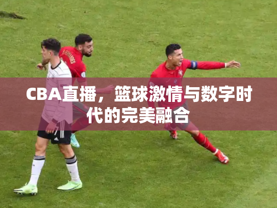 CBA直播，篮球激情与数字时代的完美融合