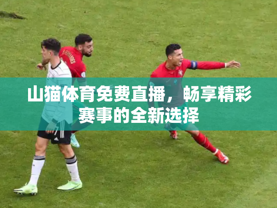 山猫体育免费直播，畅享精彩赛事的全新选择