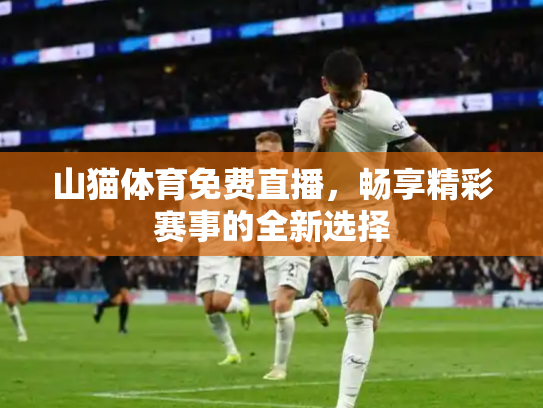 山猫体育免费直播，畅享精彩赛事的全新选择