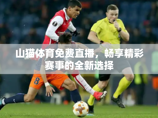 山猫体育免费直播，畅享精彩赛事的全新选择