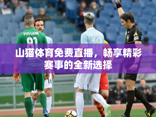 山猫体育免费直播，畅享精彩赛事的全新选择