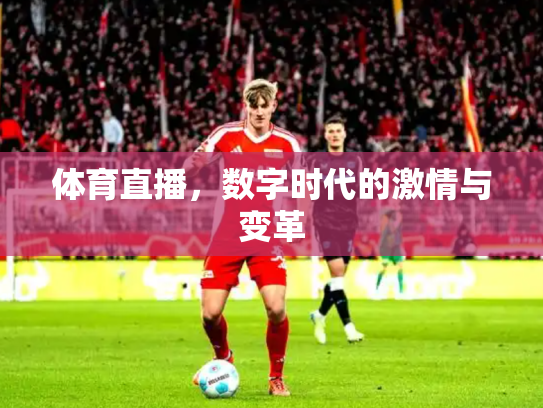 体育直播，数字时代的激情与变革