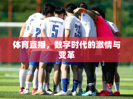 体育直播，数字时代的激情与变革