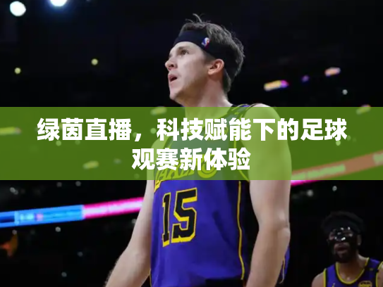 绿茵直播，科技赋能下的足球观赛新体验