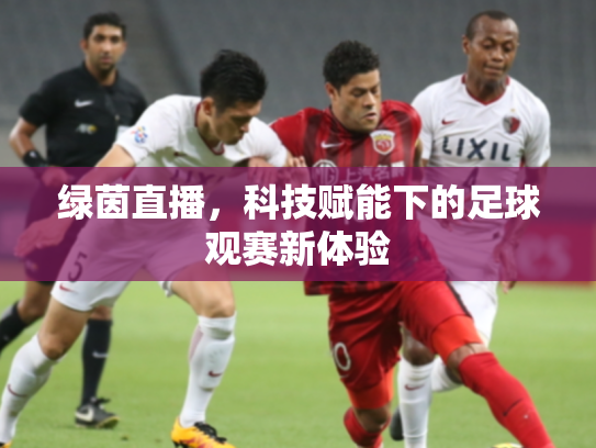绿茵直播，科技赋能下的足球观赛新体验