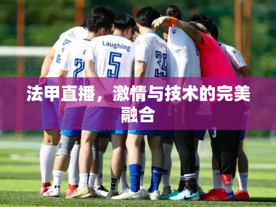 法甲直播，激情与技术的完美融合