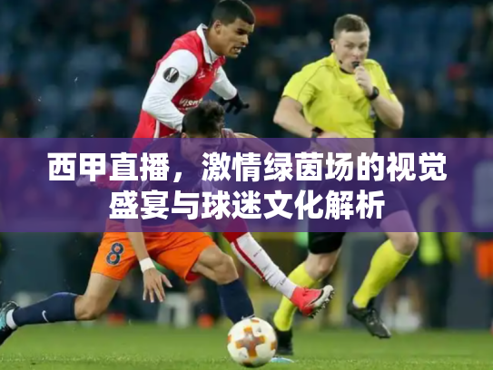 西甲直播，激情绿茵场的视觉盛宴与球迷文化解析