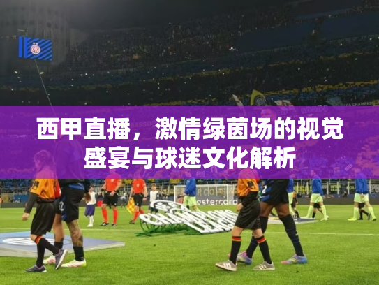 西甲直播，激情绿茵场的视觉盛宴与球迷文化解析