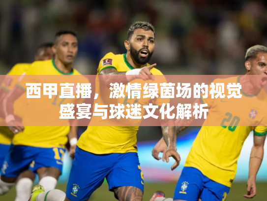 西甲直播，激情绿茵场的视觉盛宴与球迷文化解析