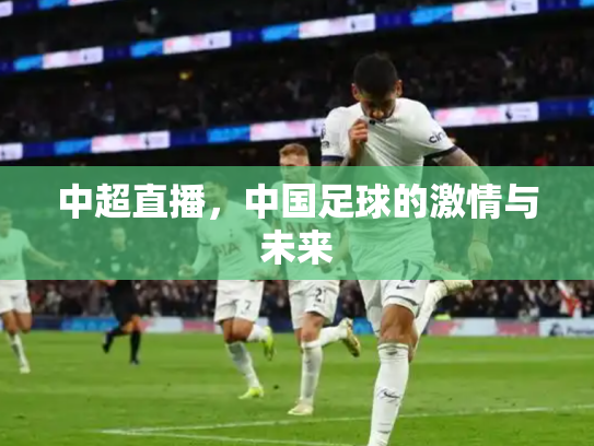 中超直播，中国足球的激情与未来