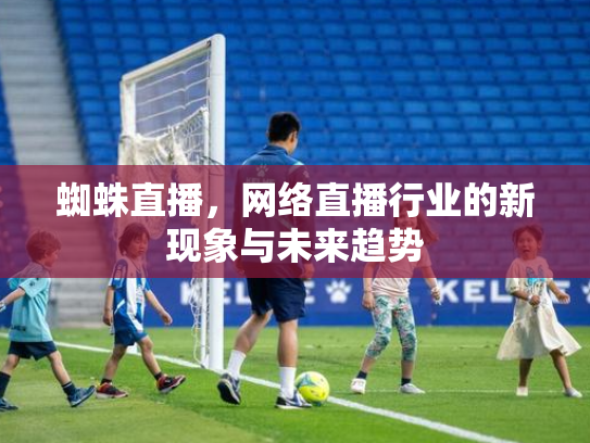 蜘蛛直播，网络直播行业的新现象与未来趋势