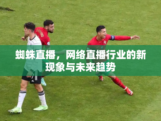 蜘蛛直播，网络直播行业的新现象与未来趋势