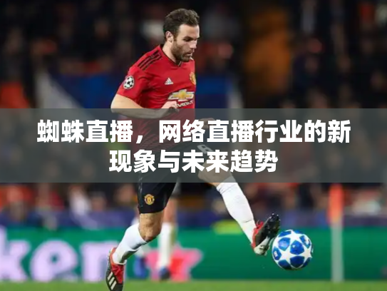 蜘蛛直播，网络直播行业的新现象与未来趋势