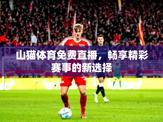 山猫体育免费直播，畅享精彩赛事的新选择