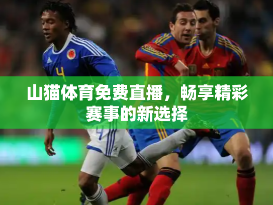 山猫体育免费直播，畅享精彩赛事的新选择