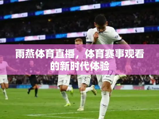 雨燕体育直播，体育赛事观看的新时代体验