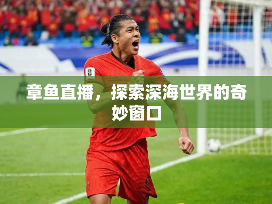 章鱼直播，探索深海世界的奇妙窗口