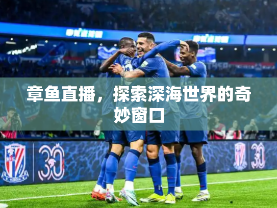 章鱼直播，探索深海世界的奇妙窗口