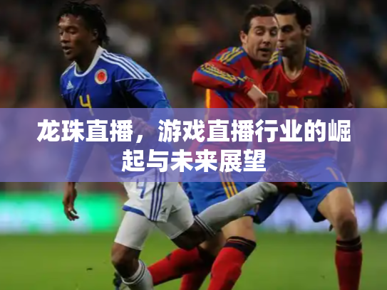 龙珠直播，游戏直播行业的崛起与未来展望