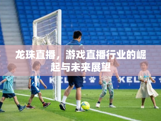龙珠直播，游戏直播行业的崛起与未来展望