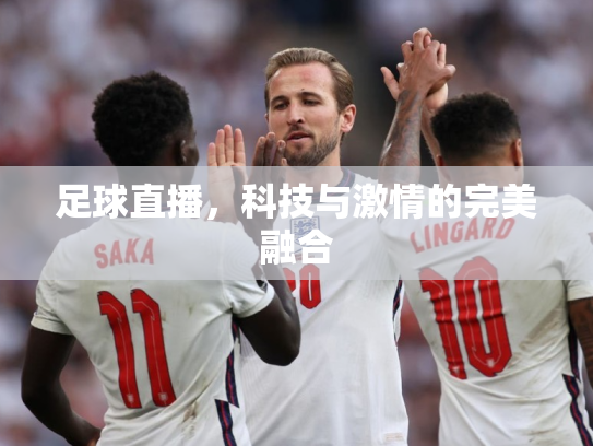 足球直播，科技与激情的完美融合