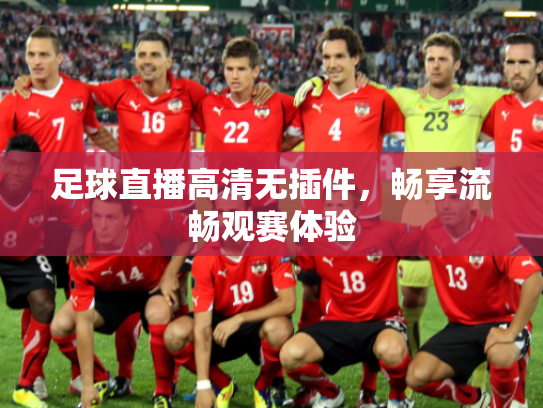 足球直播高清无插件，畅享流畅观赛体验