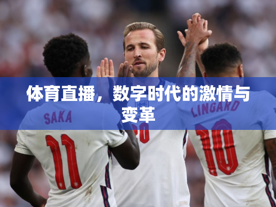 体育直播，数字时代的激情与变革