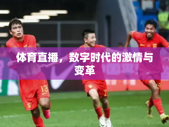 体育直播，数字时代的激情与变革