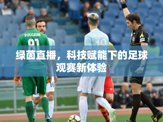 绿茵直播，科技赋能下的足球观赛新体验