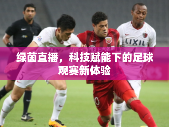 绿茵直播，科技赋能下的足球观赛新体验