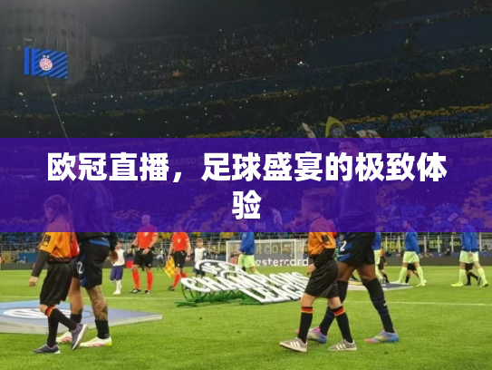 欧冠直播，足球盛宴的极致体验