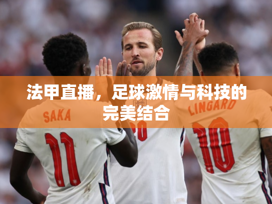 法甲直播，足球激情与科技的完美结合
