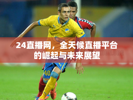 24直播网，全天候直播平台的崛起与未来展望