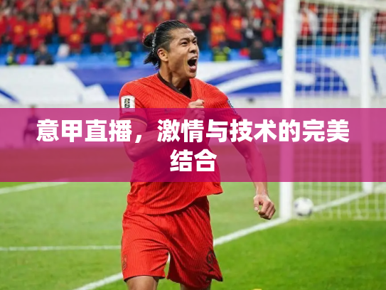 意甲直播，激情与技术的完美结合