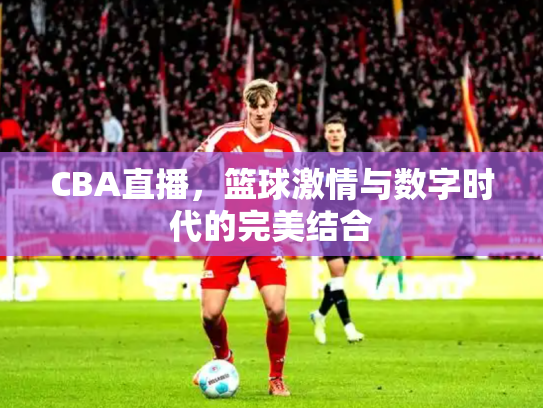 CBA直播，篮球激情与数字时代的完美结合