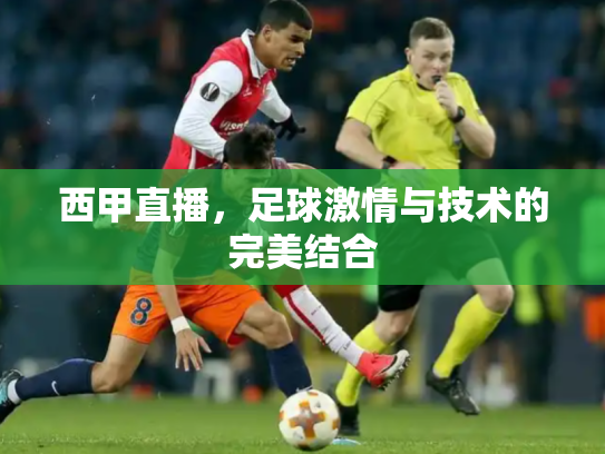 西甲直播，足球激情与技术的完美结合