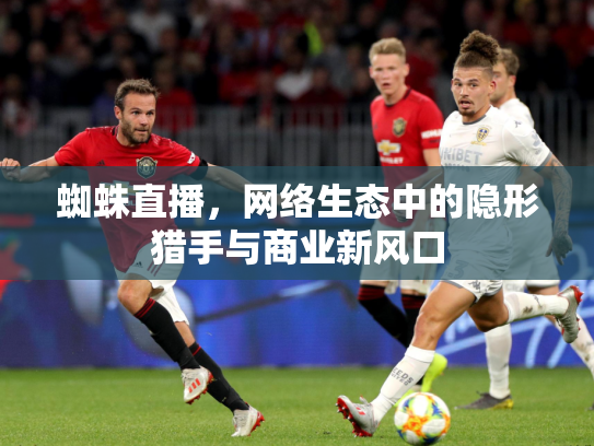 蜘蛛直播，网络生态中的隐形猎手与商业新风口