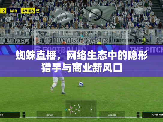蜘蛛直播，网络生态中的隐形猎手与商业新风口