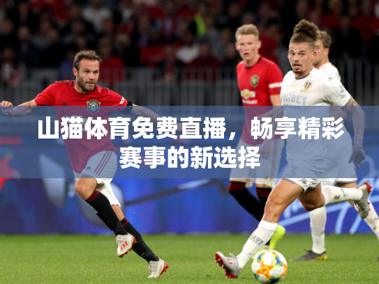 山猫体育免费直播，畅享精彩赛事的新选择