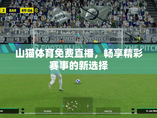 山猫体育免费直播，畅享精彩赛事的新选择