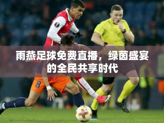 雨燕足球免费直播，绿茵盛宴的全民共享时代