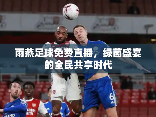 雨燕足球免费直播，绿茵盛宴的全民共享时代