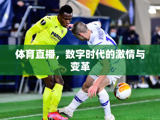 体育直播，数字时代的激情与变革