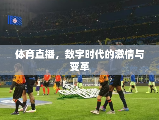 体育直播，数字时代的激情与变革